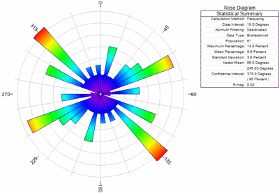 online mirror rose diagram